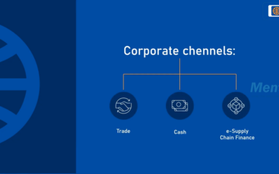 Portfolio Title: Customized eLearning Solutions for the Financial Sector